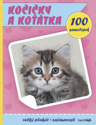 Kočičky a koťátka (Plakát a 100 samolepek) - kniha z kategorie Úkoly pro děti