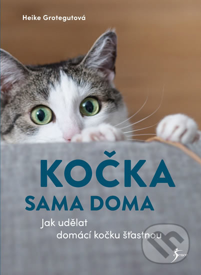 Kočka sama doma
