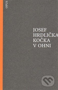 Kočka v ohni