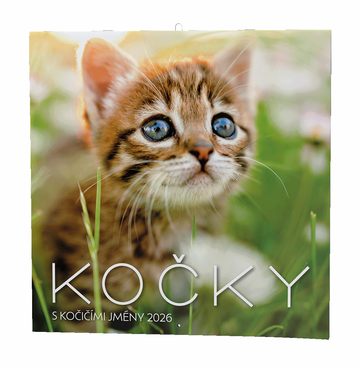 Kočky 2026 - nástěnný kalendář