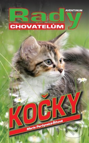 Kočky (rady chovatelům)