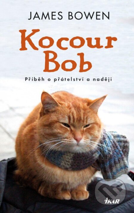 Kocour Bob