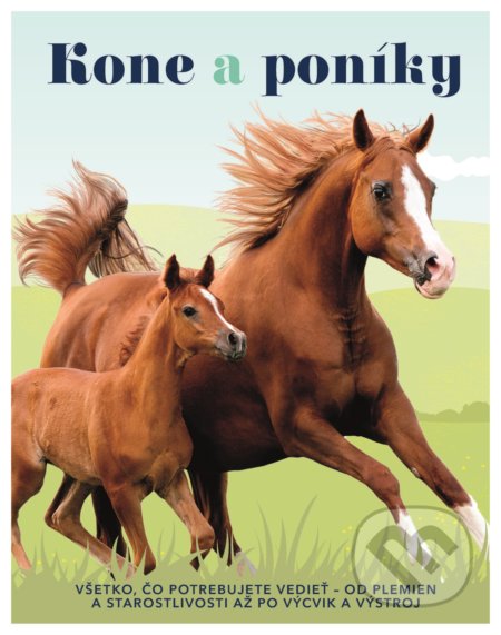 Kone a poníky (Všetko, čo potrebujete vedieť