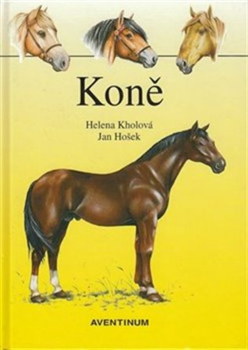 Koně