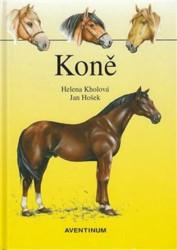 Koně