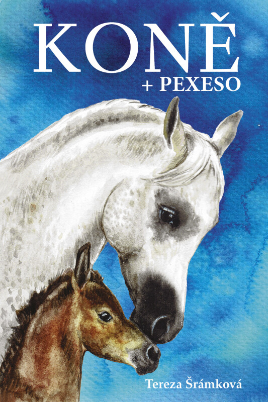 Koně - pexeso - Tereza Šrámková