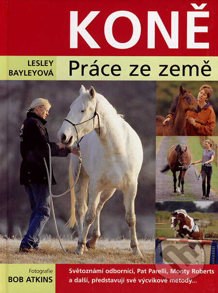 Koně (Práce ze země)