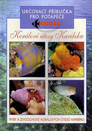 Korálové útesy Karibiku – Určovací příručka pro potápěče