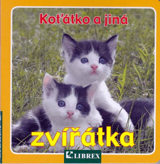 Koťátko a jiná zvířátka