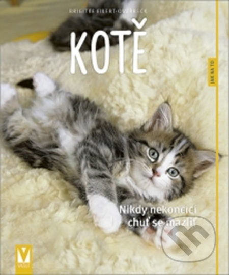 Kotě - Nikdy nekončící chuť se mazlit