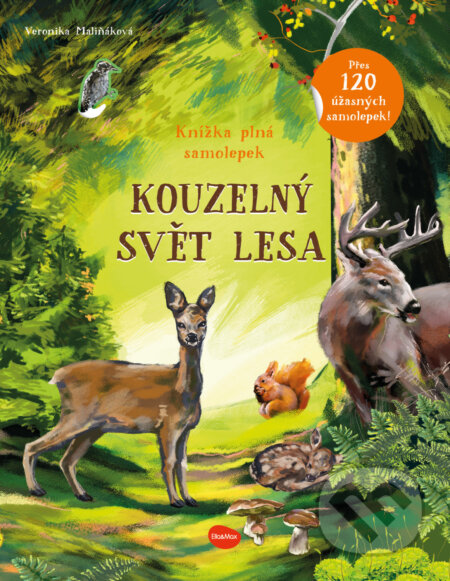 Kouzelný svět lesa (Kniha samolepek)