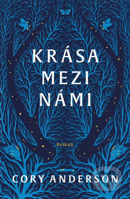 Krása mezi námi