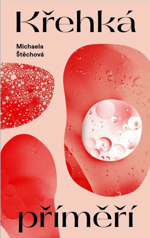 Křehká příměří - Michaela Štěchová