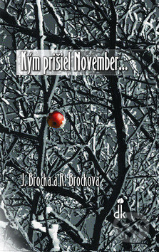Kým prišiel November...