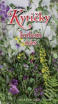 Kytičky kolem nás