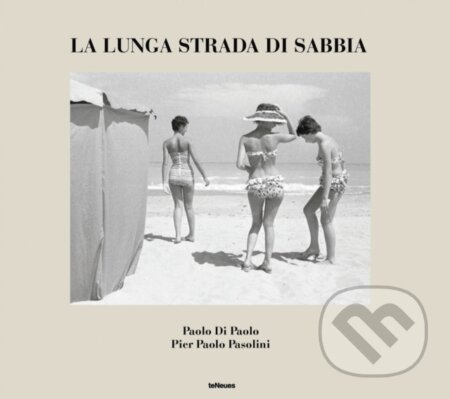 La lunga strada di sabbia (Paolo Di Paolo