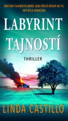 Labyrint tajností (Některá tajemství amišů jsou příliš děsivá na to, aby byla odhalena) - kniha z kategorie Detektivky, thrillery a horory