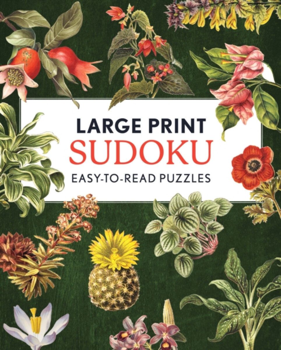 Large Print Sudoku
