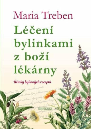 Léčení bylinkami z boží lékárny. Účinky bylinných receptů