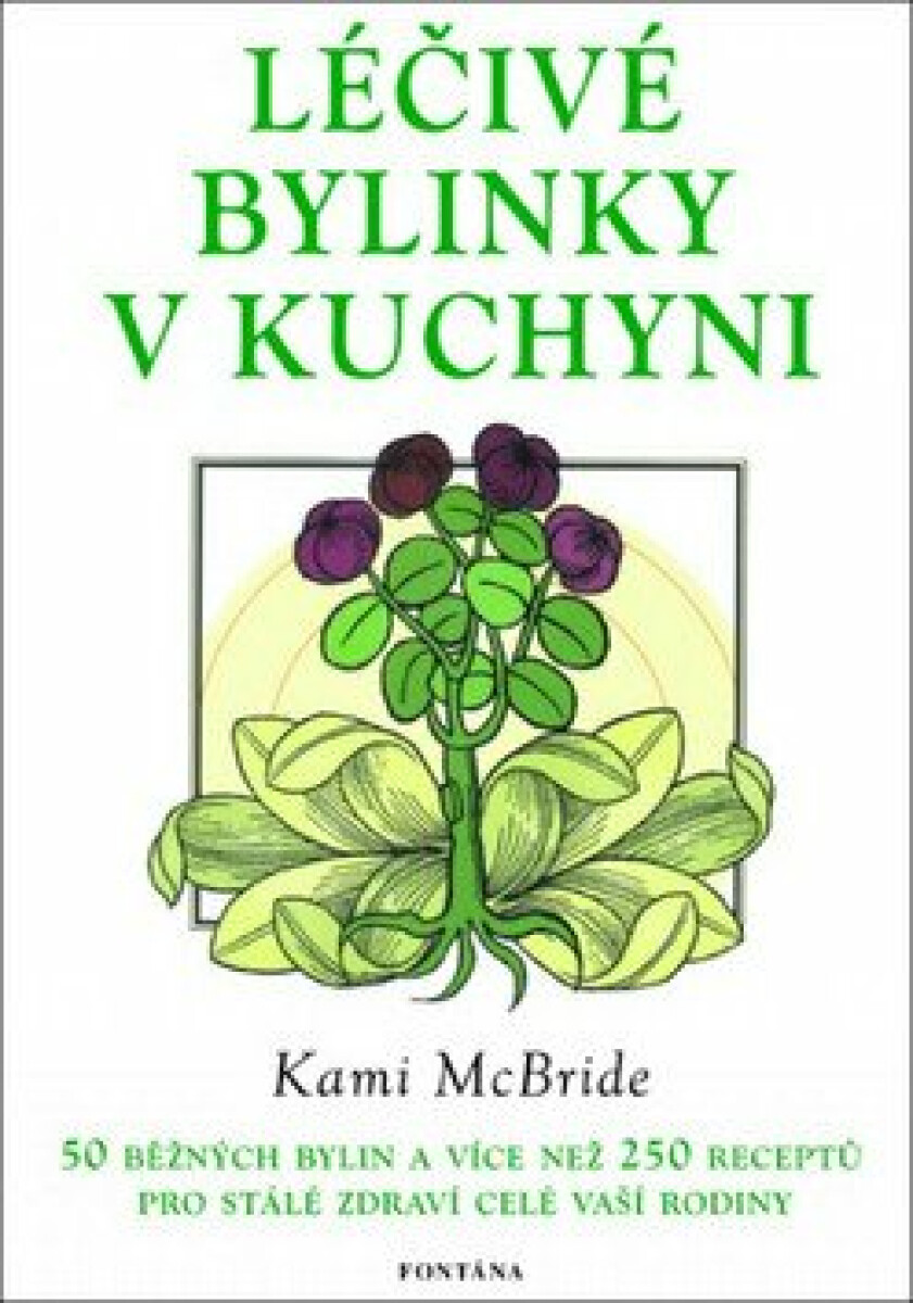 Léčivé bylinky v kuchyni - Kami McBride
