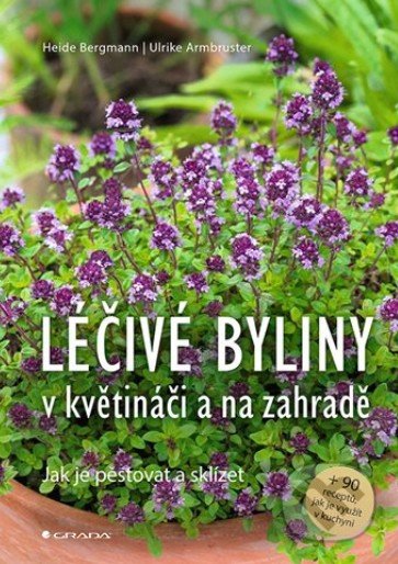 Léčivé byliny v květináči a na zahradě