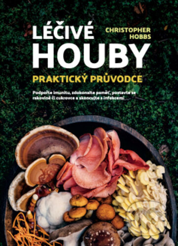 Léčivé houby: Praktický průvodce
