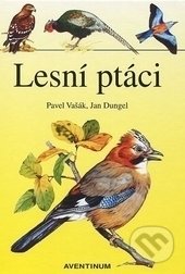 Lesní ptáci