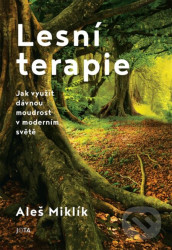 Lesní terapie