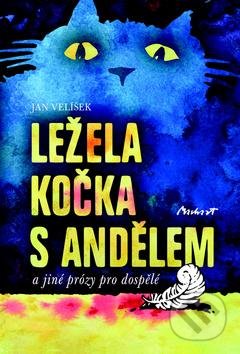 Ležela kočka s andělem (a jiné prózy pro dospělé)