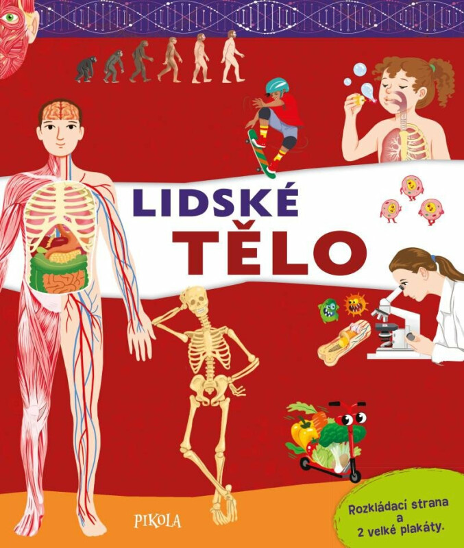 Lidské tělo (Defekt)