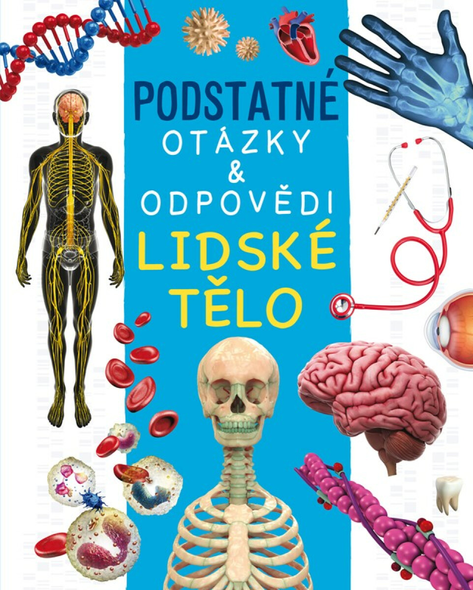 Lidské tělo