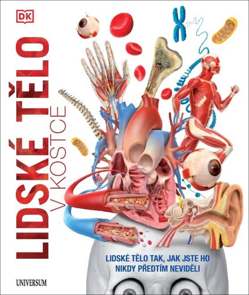 Lidské tělo v kostce