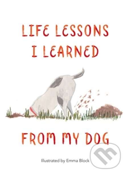 Life Lessons I Learned from my Dog