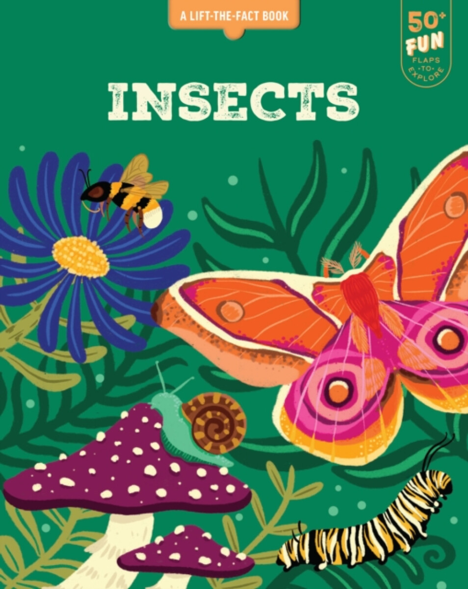 Lift the Fact: Insects