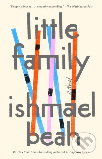 Little Family (A Novel)