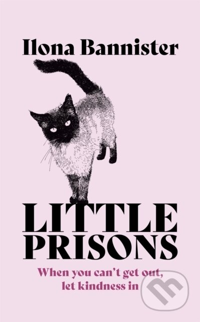 Little Prisons