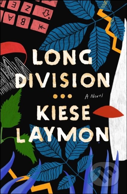 Long Division (A Novel)