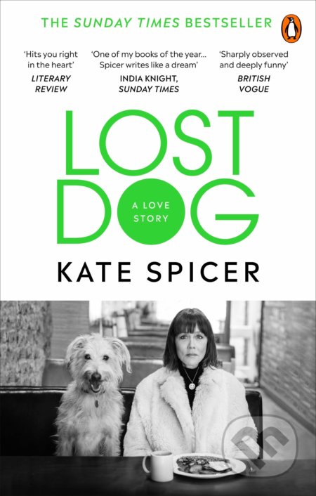 Lost Dog (A Love Story)