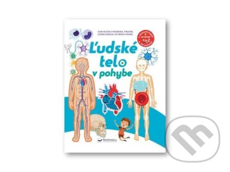 Ľudské telo v pohybe
