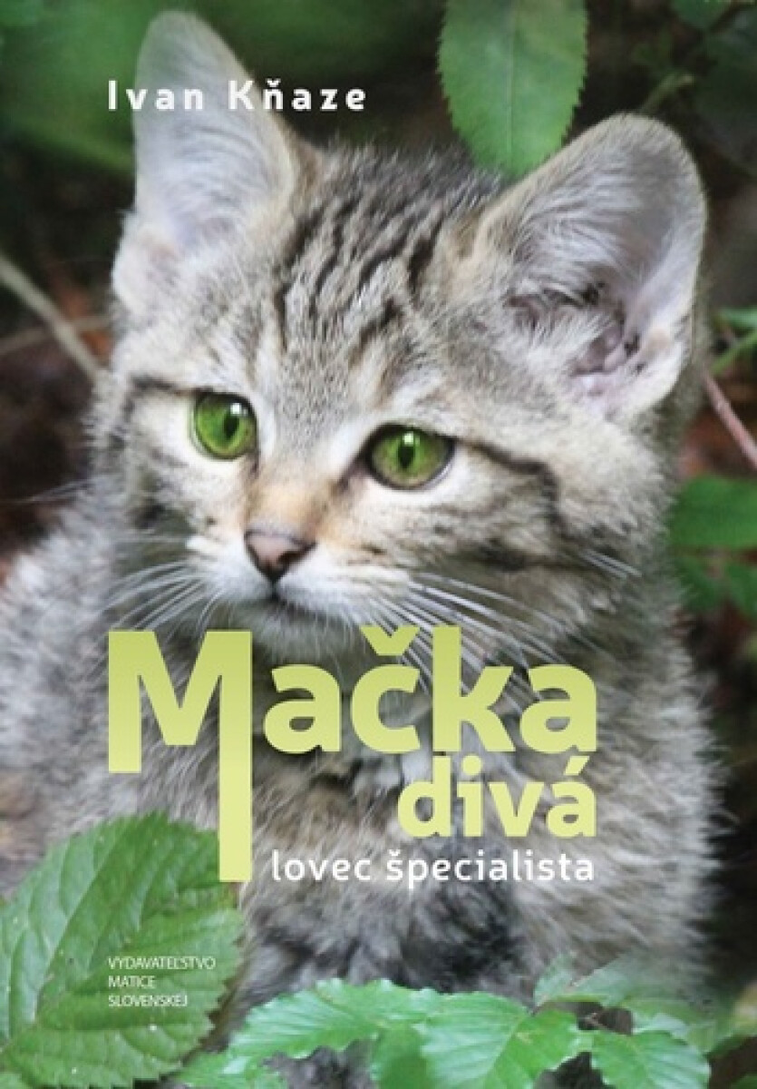 Mačka divá - Ivan Kňaze