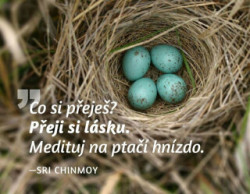 Magnet na lednici - Co si přeješ? Přeji si lásku. Medituj na ptačí hnízdo.