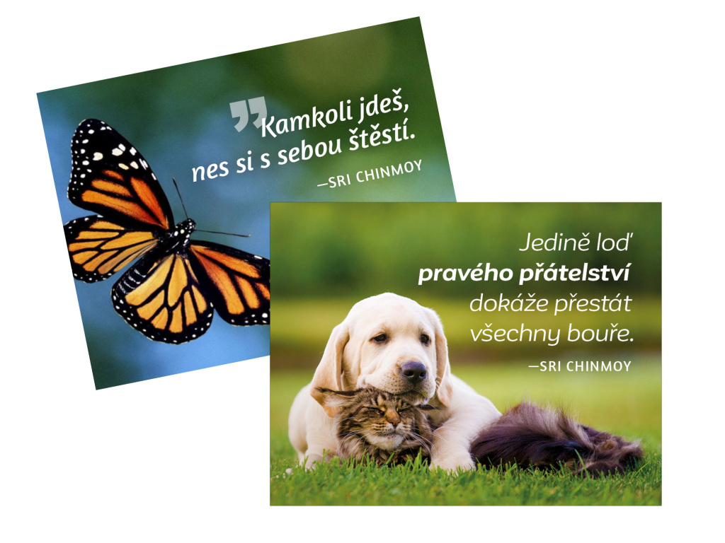 magnety na lednici Kamkoli jdeš + Jedině loď (2 kusy)