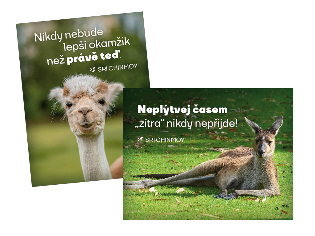 magnety na lednici Neplýtvej časem + Nikdy nebude (2 kusy)