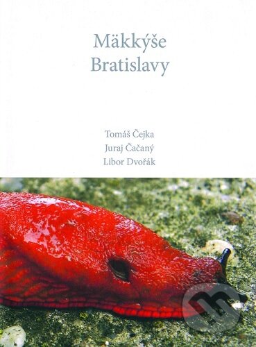 Mäkkýše Bratislavy