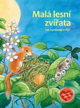 Malá lesní zvířata (Jak vyrůstají a žijí?)
