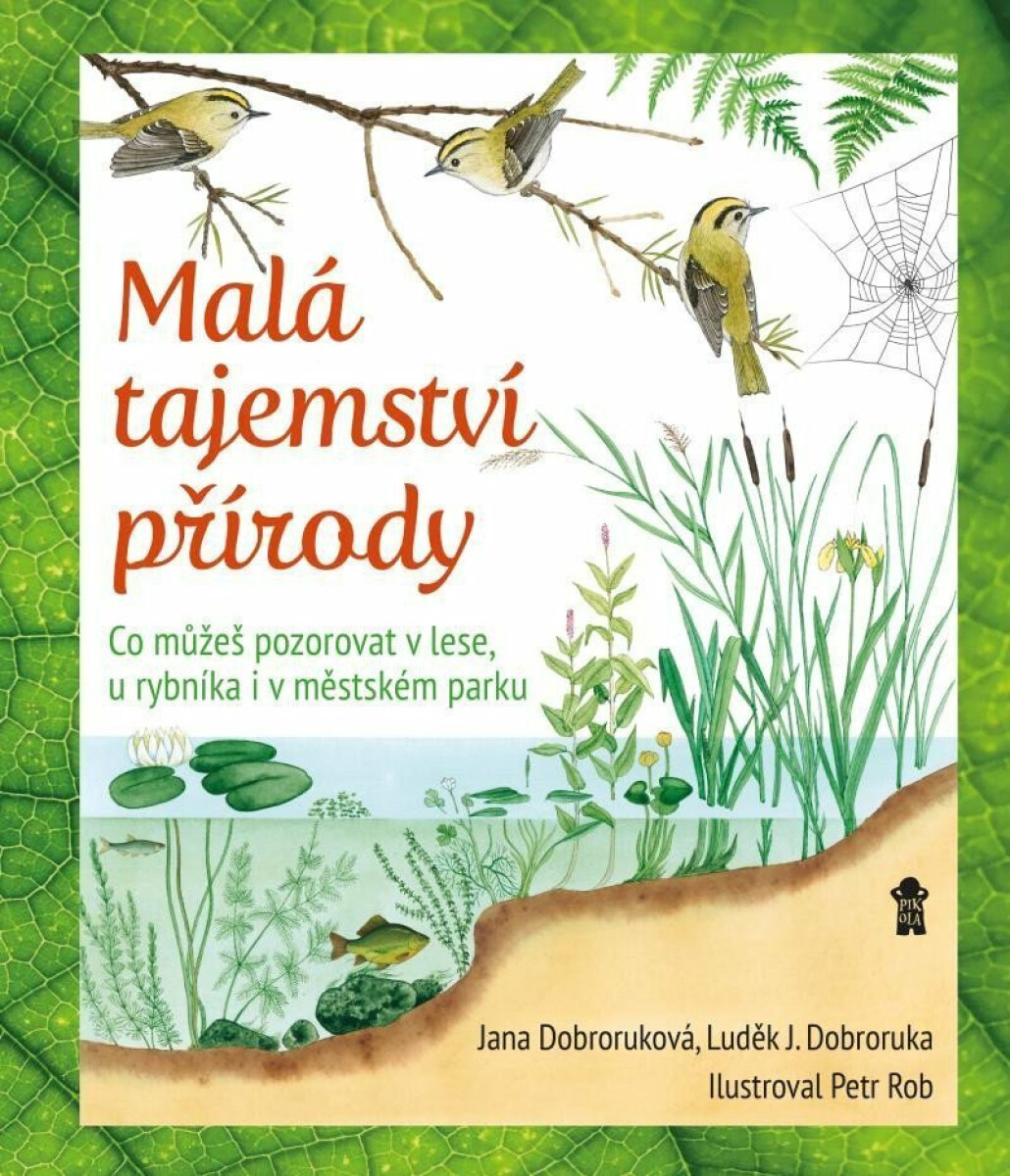 Malá tajemství přírody: Co můžeš pozorovat v lese, u rybníka i v městském parku - Luděk Jindřich Dobroruka, Jana Dobroruková