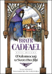 Malomocný u svatého Jiljí (5)