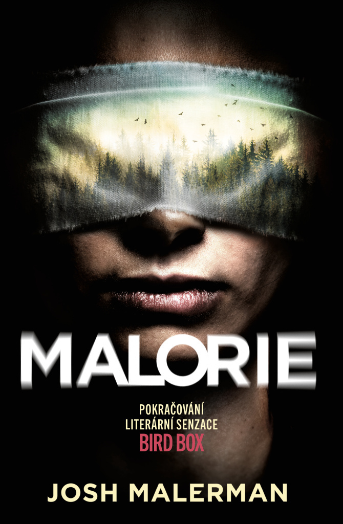 Malorie (2. díl)