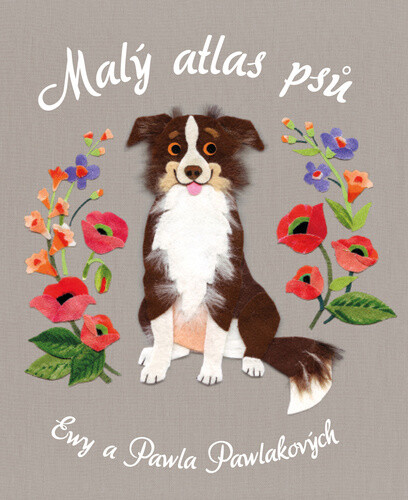 Malý atlas psů - Pawel Pawlak