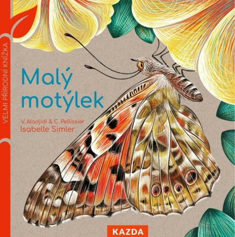 Malý motýlek - Isabelle Simler
